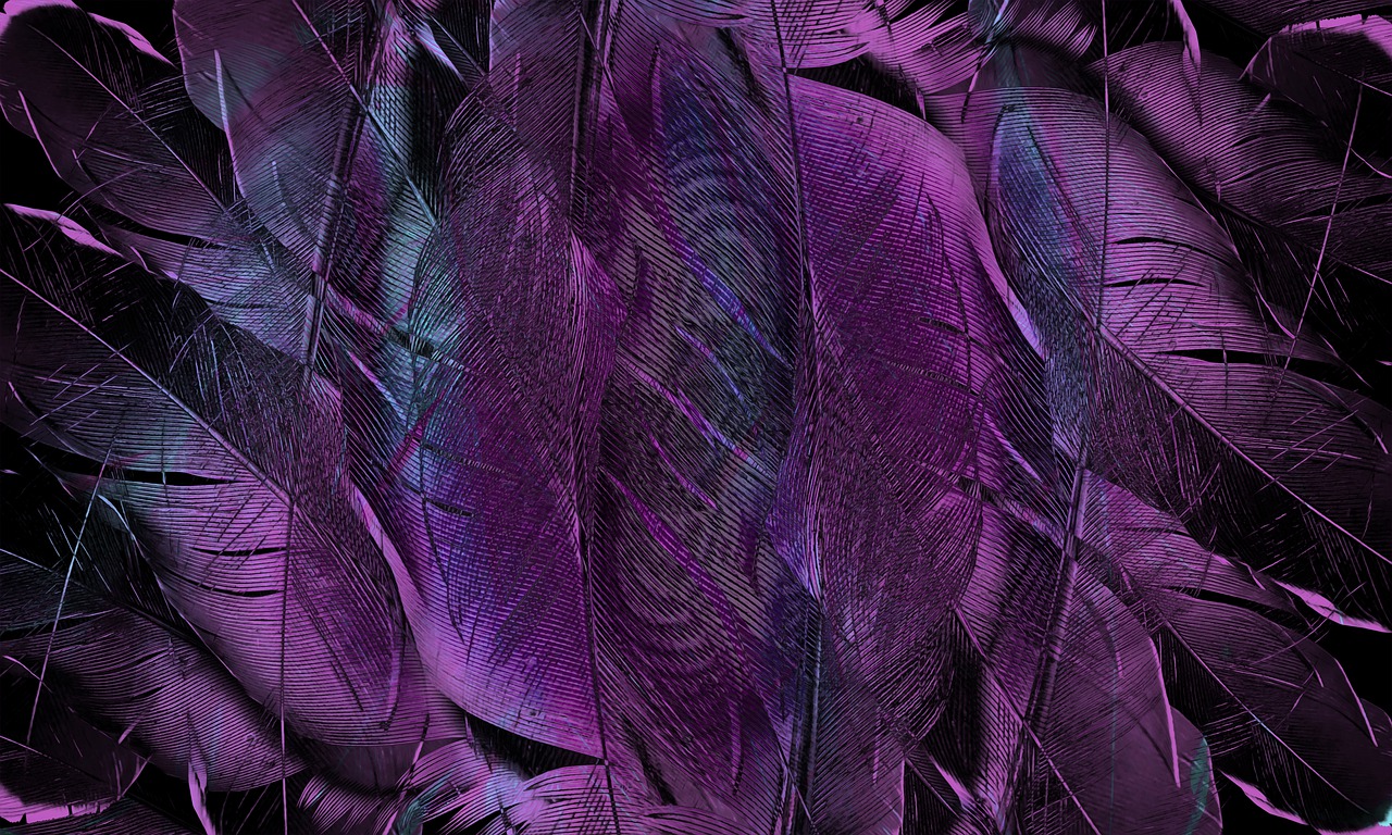 feather, pattern, texture-4431599.jpg